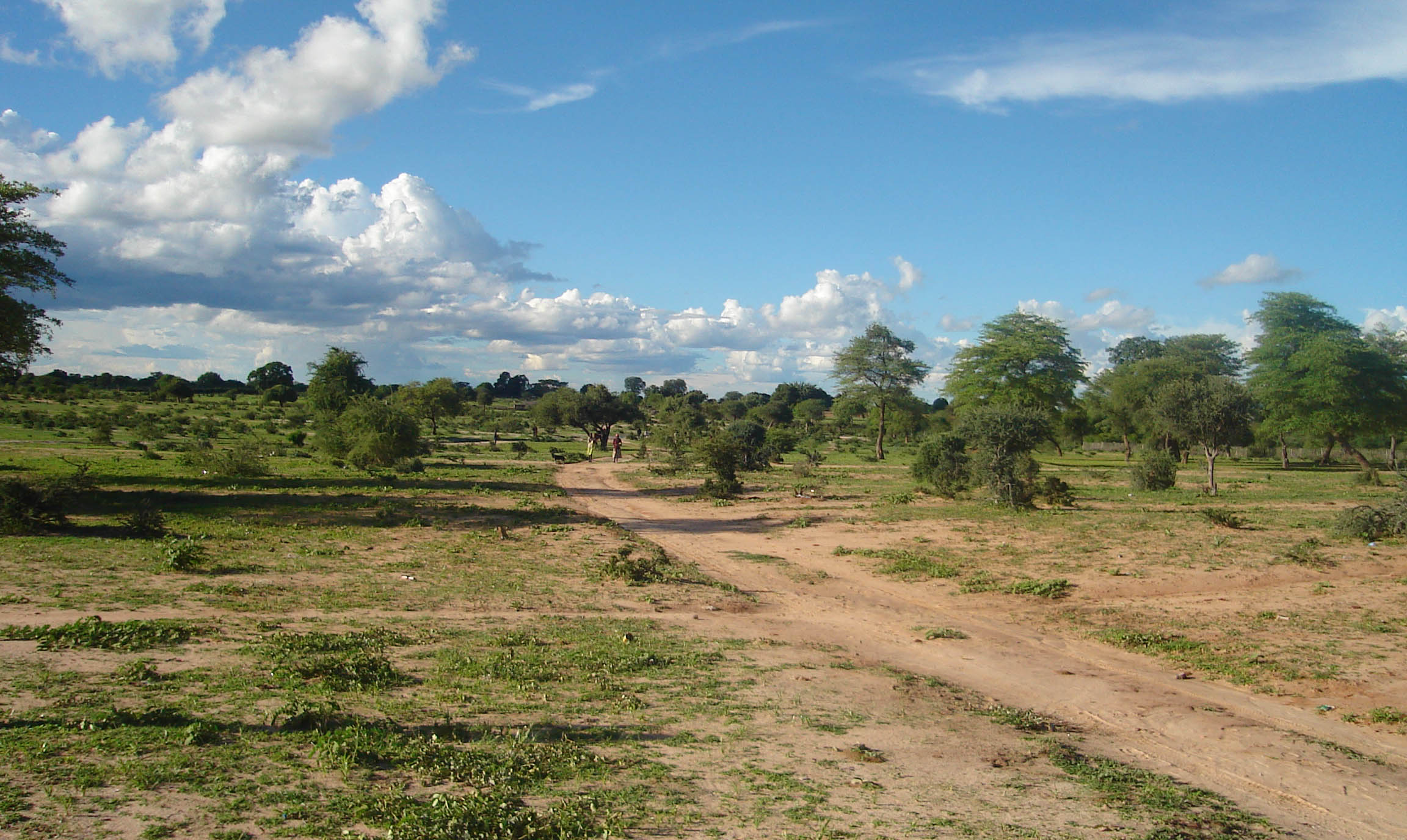 Appunti Africani un viaggio in 24 tappe
