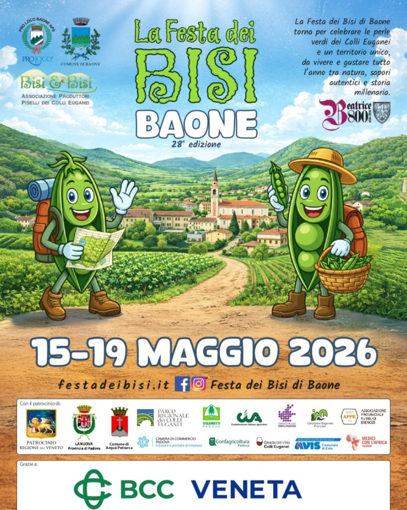 FESTA DEI BISI